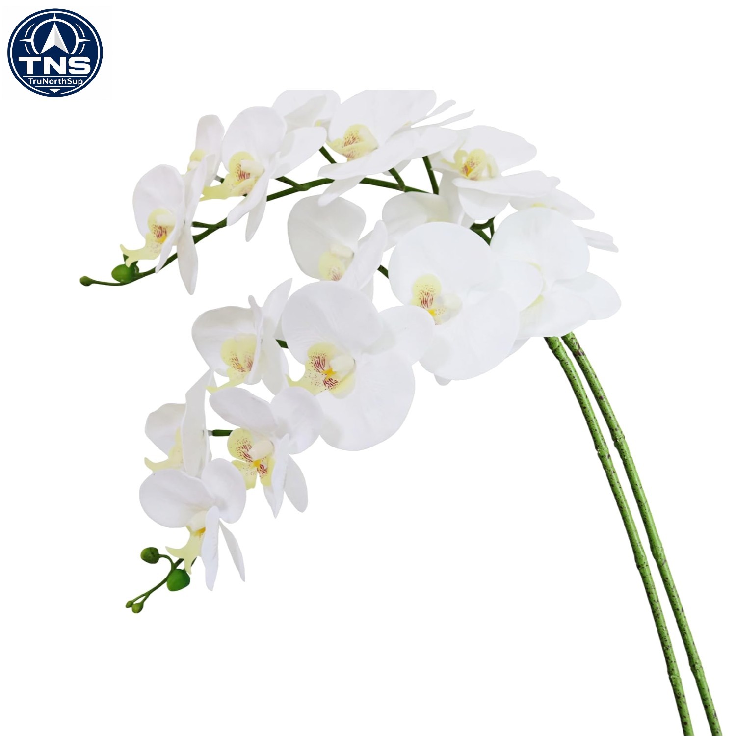 Artificial Phalaenopsis Orchid Flowers 38 Inches White Pack of 2 Home Office …