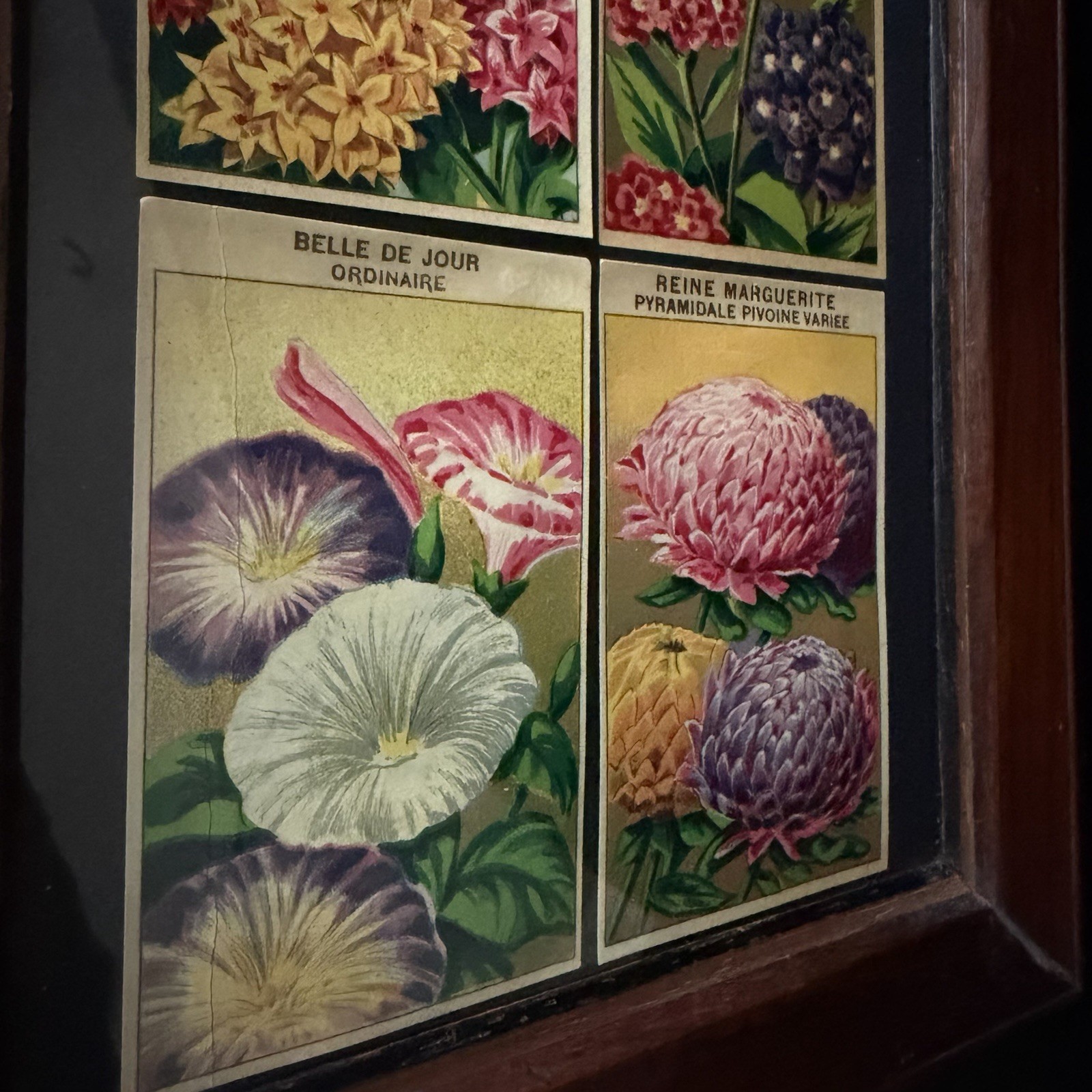 Vintage French Seed Packet Labels Framed Botanical Wall Art Wood Frame