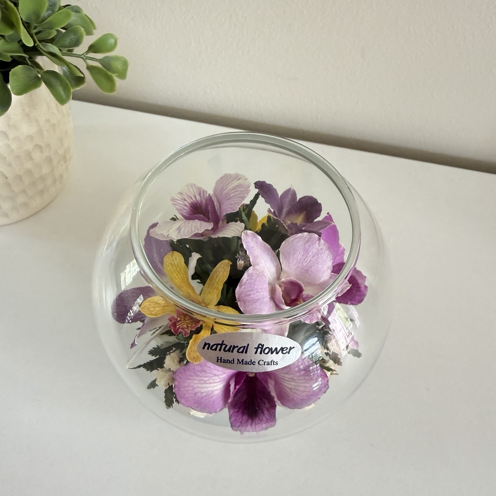 Real Preserved Flowers in Sealed Glass Bowl Floral Home Decor Purple Orchid