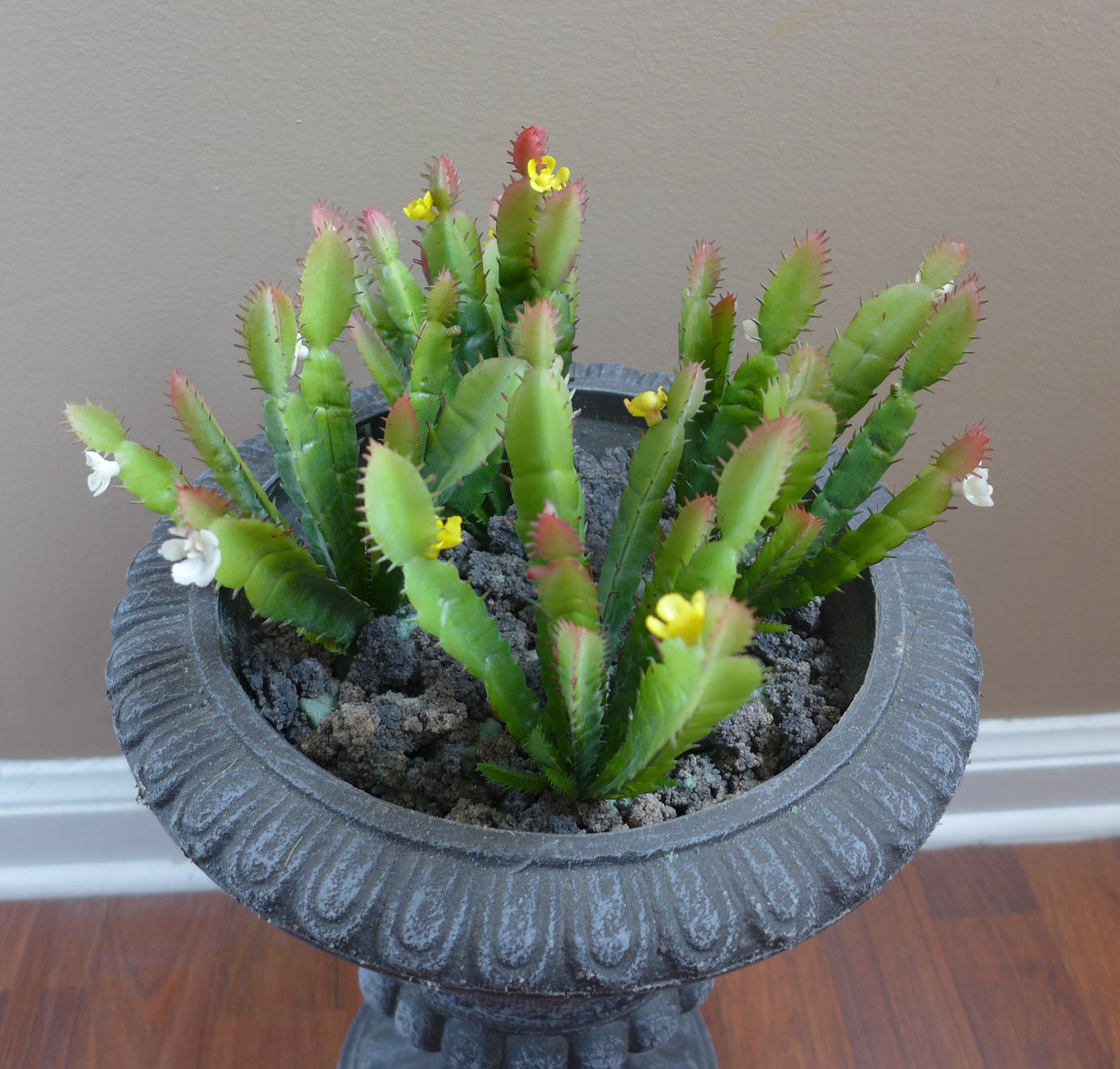 4 Artificial Plastic Grasses White And Yellow Blooming Cactus Succulents Plants