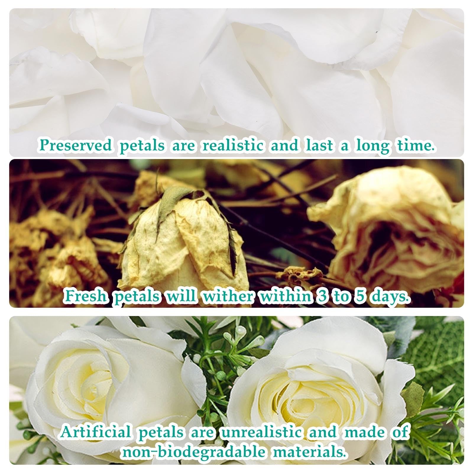 1.4oz White Dried Real Rose Petals, Natural Preserved, Wedding Confetti Decor