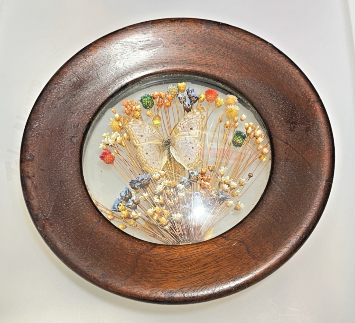 VTG Butterfly Dried Flower Art Brazilia Collection Dunston Made in Brazil 70’s