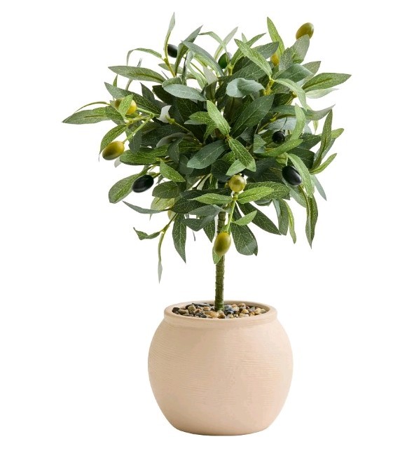 Better Homes & Gardens Realistic Artificial Olive Plant with Tan Ceramic Vase