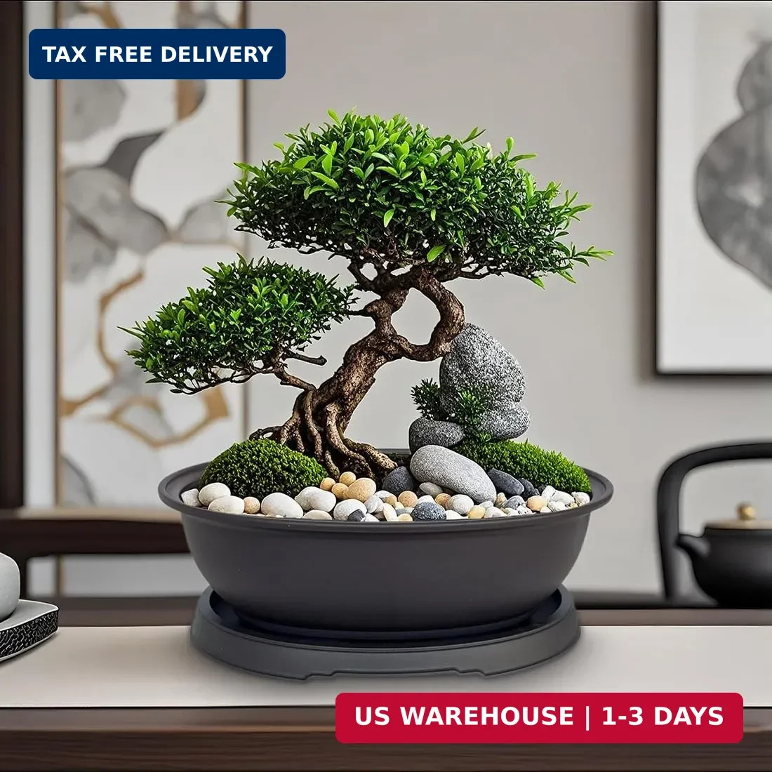 MUZHI 3 Pack Mixed Size Oval Bonsai Planter Pot with Drainage Tray, Matte Finish