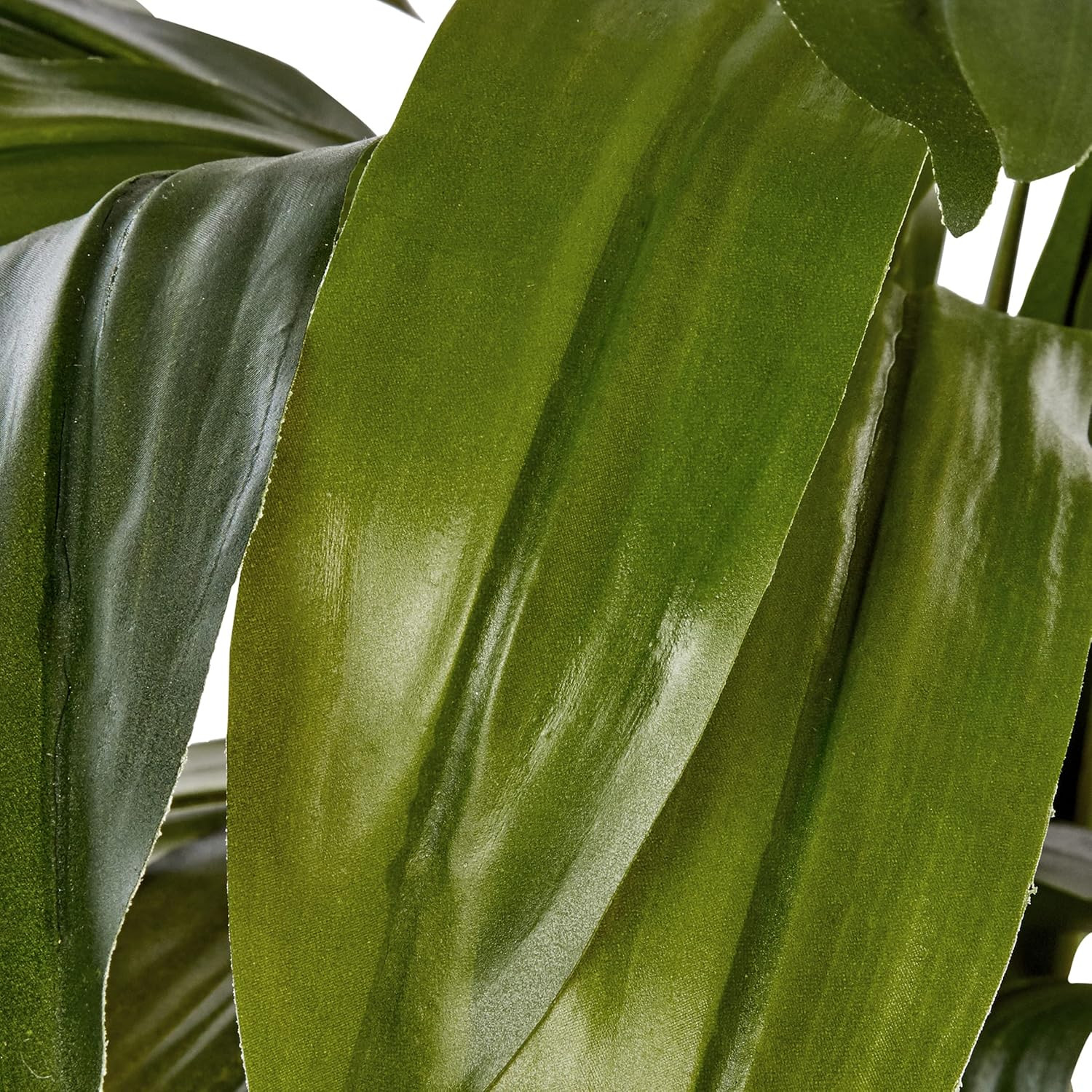 6Ft. Dracaena Silk Plant (Real Touch)