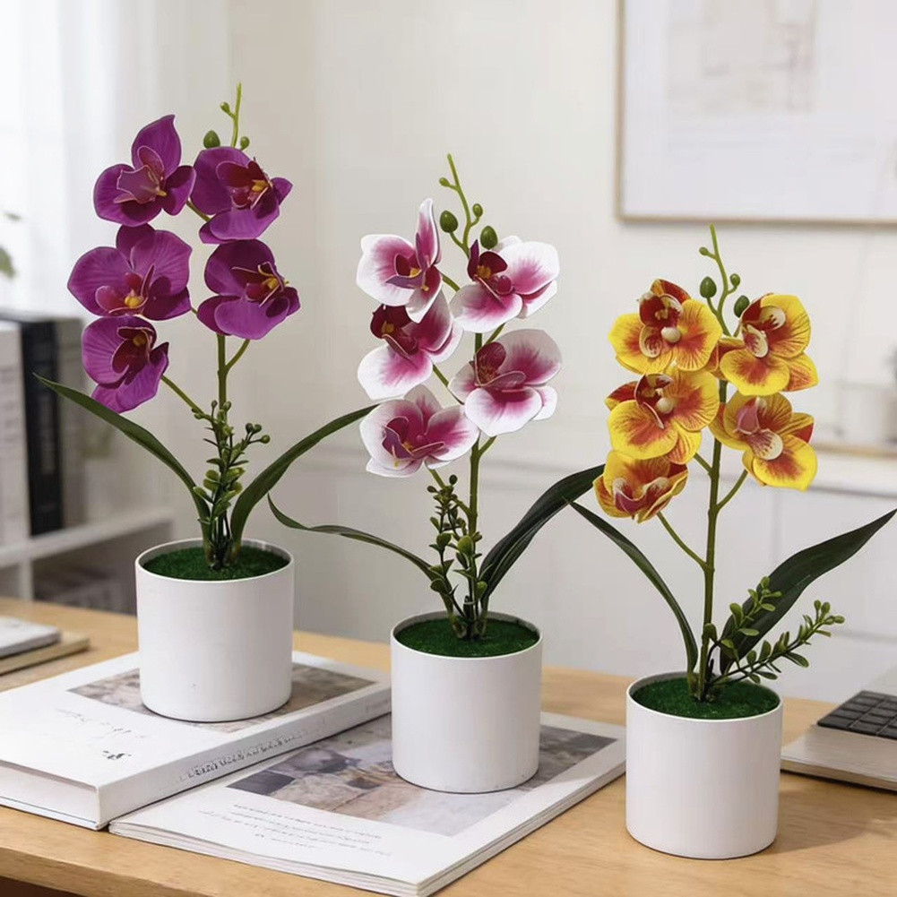 White Yellow Purple Blue Phalaenopsis Orchid Arrangement for Indoor Desk Decor