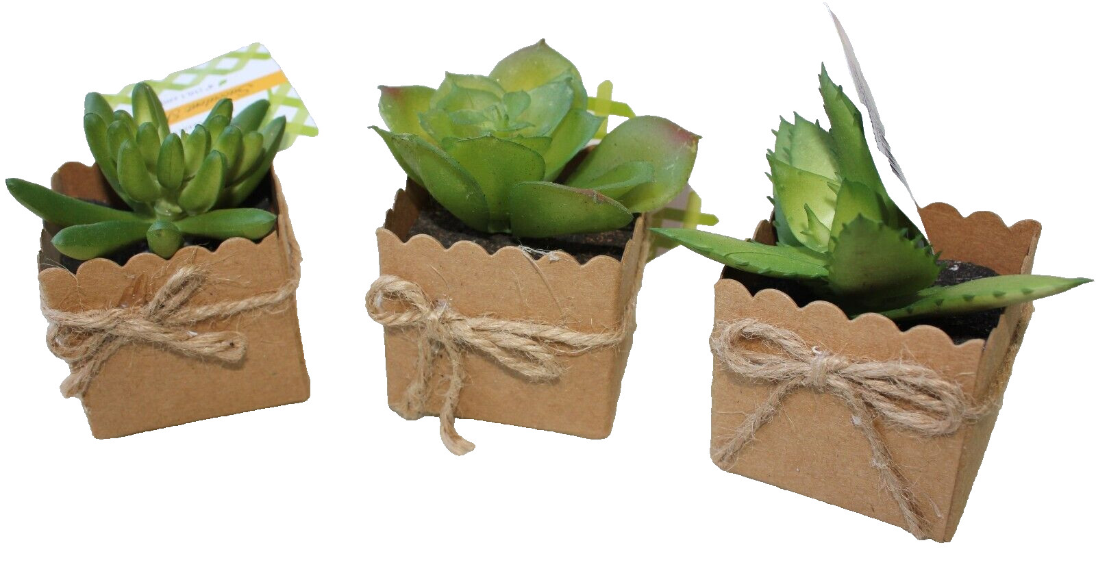 Set of 3 3″ Mini Artificial Succulent Plants in Square Paper 2″x2″ Pots Gift