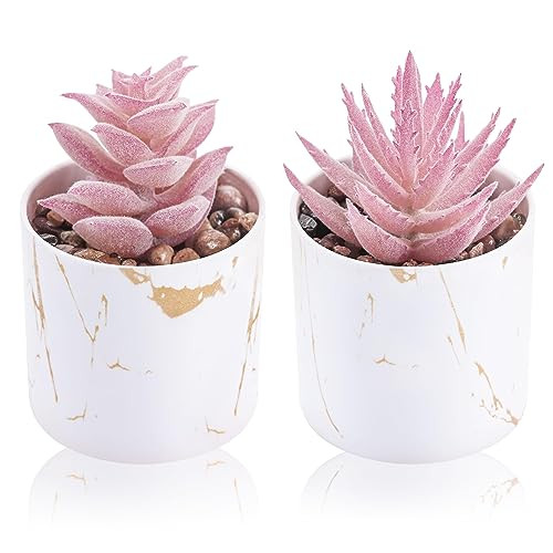 Set of 2 Succulents Plants Artificial Mini Fake Succulents Plants for Office