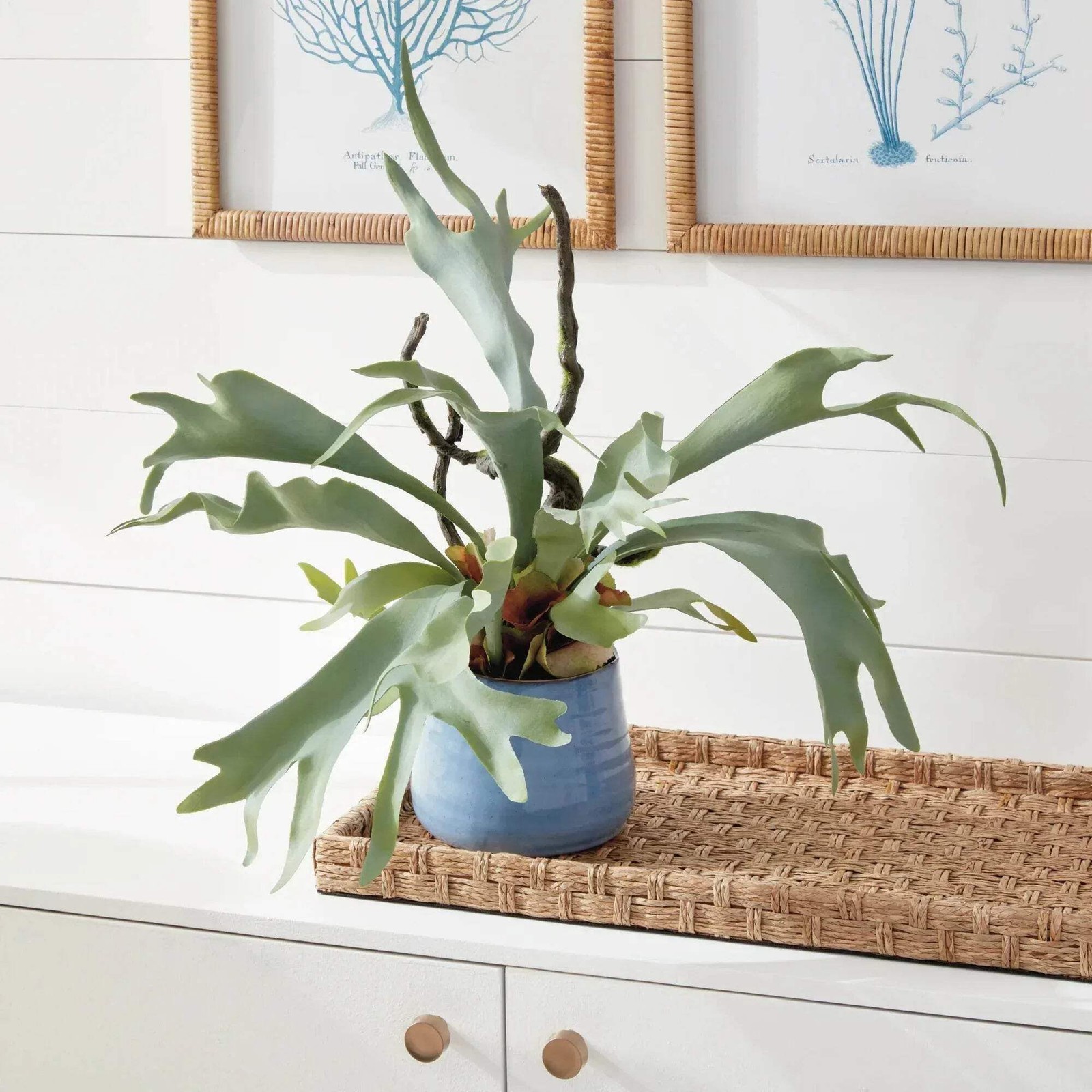 Staghorn Artificial Fern Drop-In 22″
