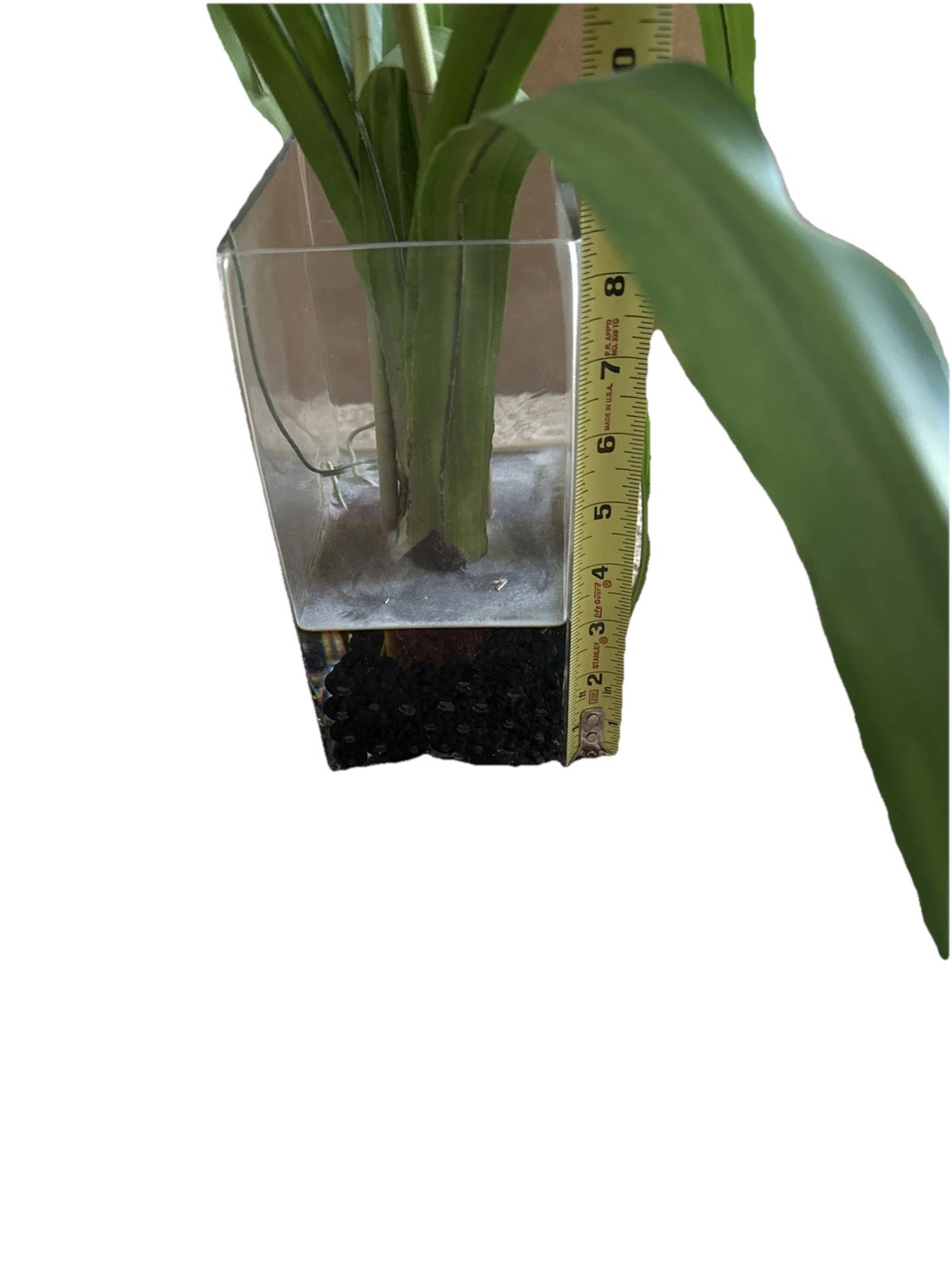 Fake Orchids In Glass Vase With Wire Inside Leaves For Posing