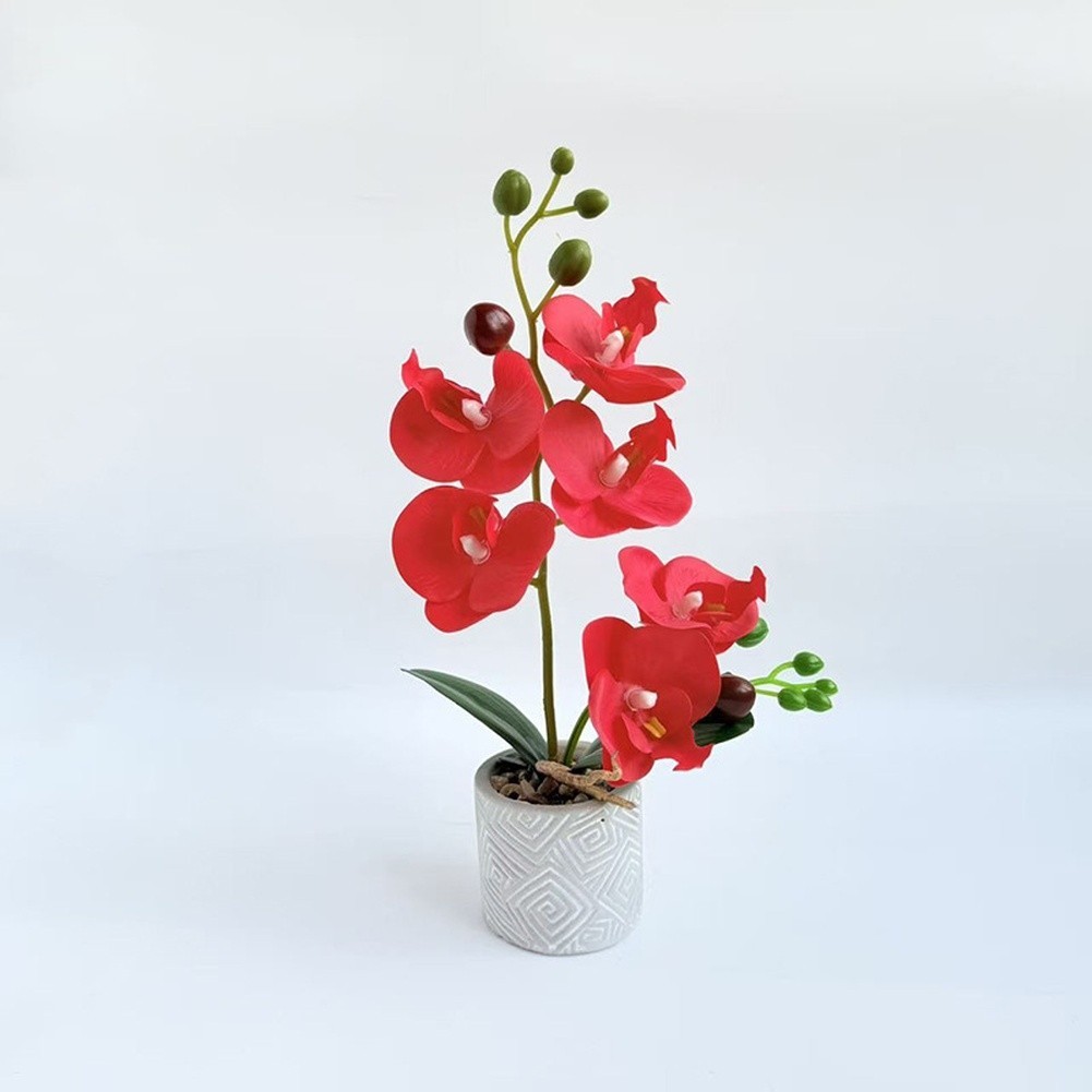 Fake Orchid Flower Plant in Cement Pot for Contemporary For Home Decoration