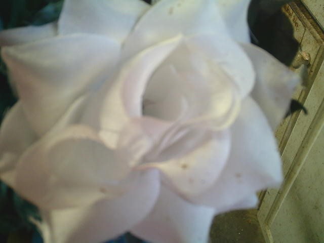 Used Artificial Blue, Black & White Rose Flower Wedding Bouquets