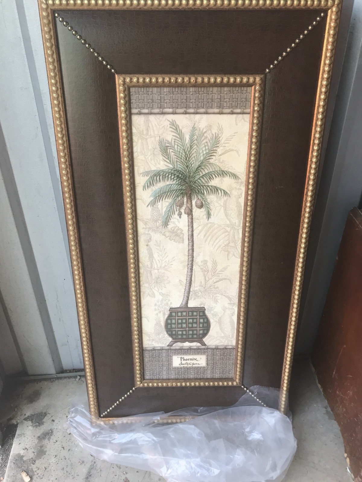 Pineapple Plant Decor Picture ￼
