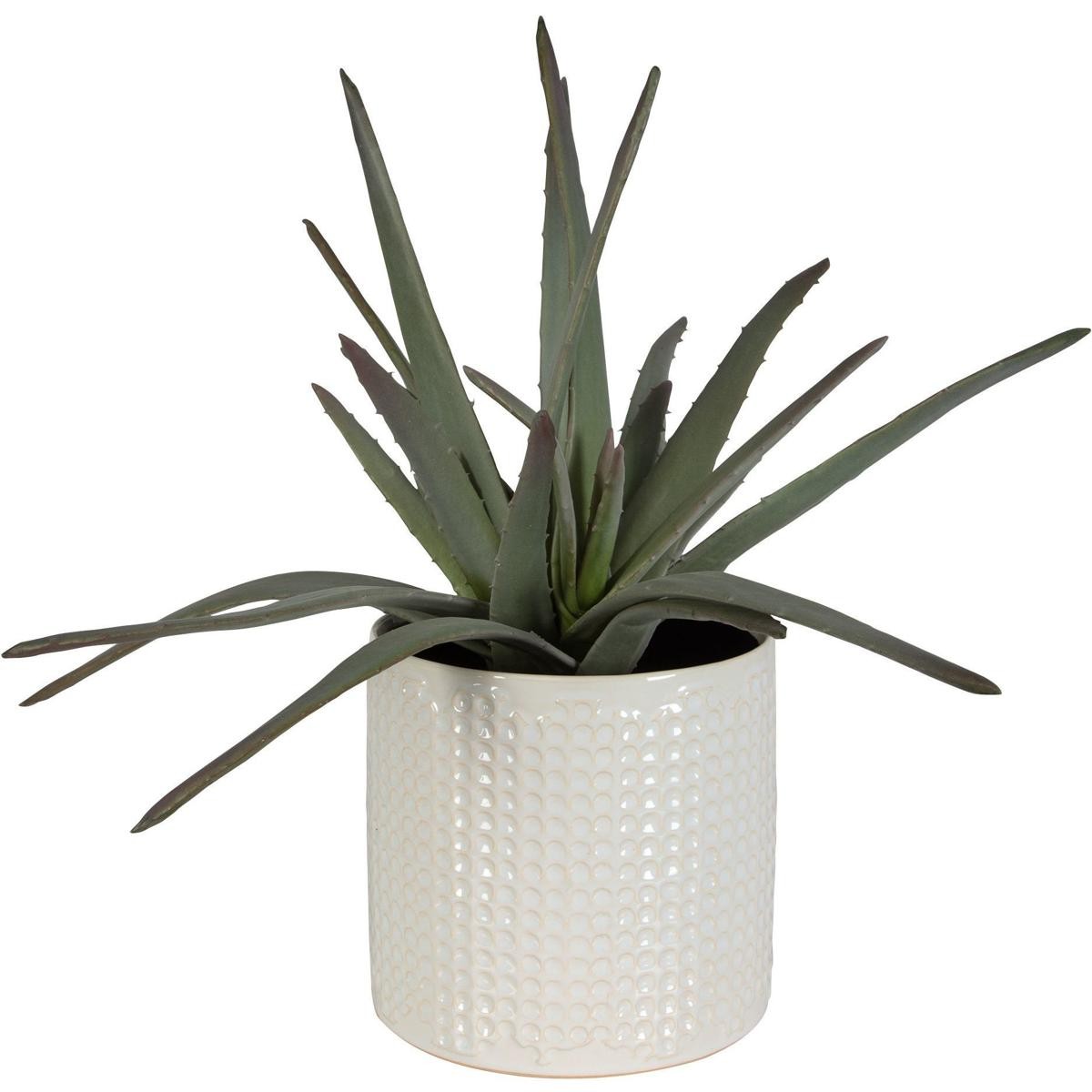 Uttermost 60210 Taos Green with Ivory and Beige Glaze Aloe Centerpiece