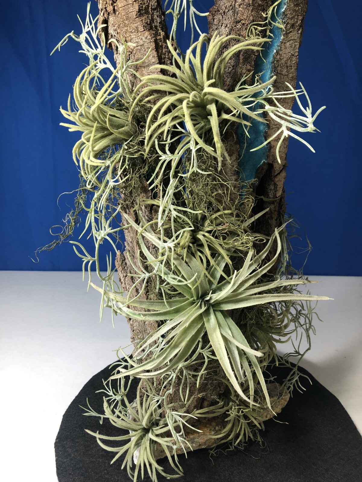 Artificial Succulent Air Plant Home Office Mounted on Real Wood Bark and Stone