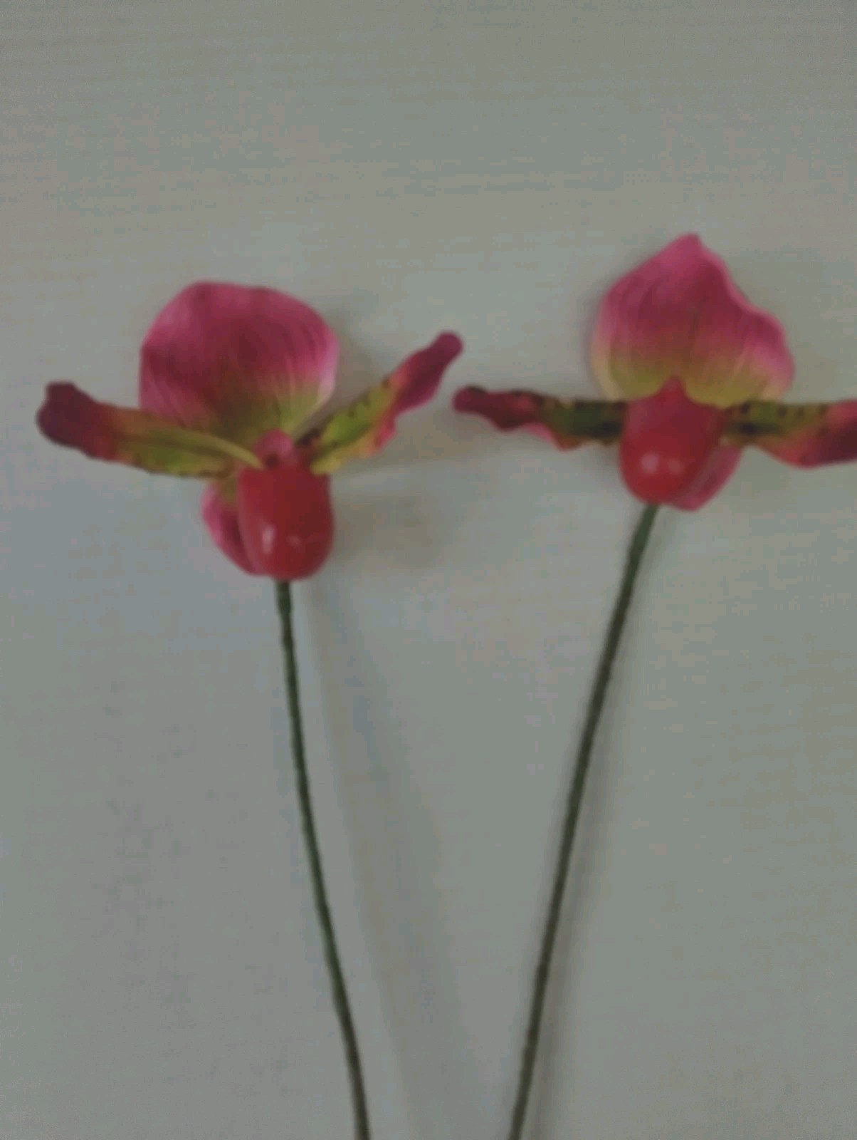 Artificial Paphiopedilum Lady Slipper Orchid