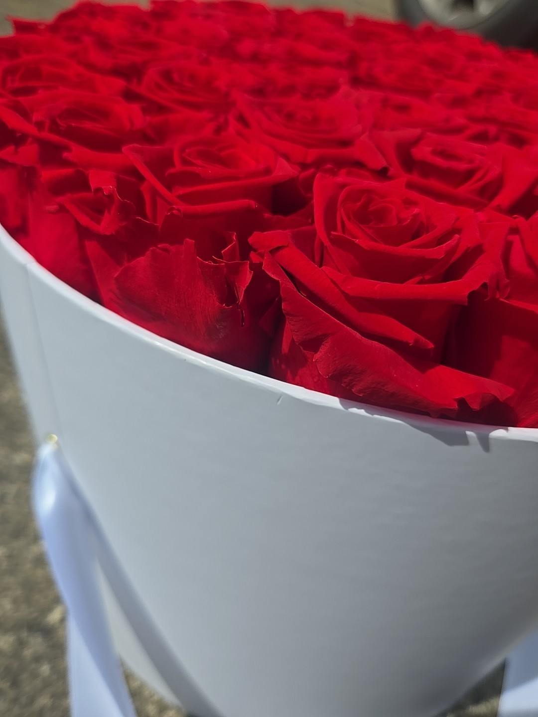 Venus et Fleur Red Roses Flower Box Arrangement Large White Container 40+ Roses