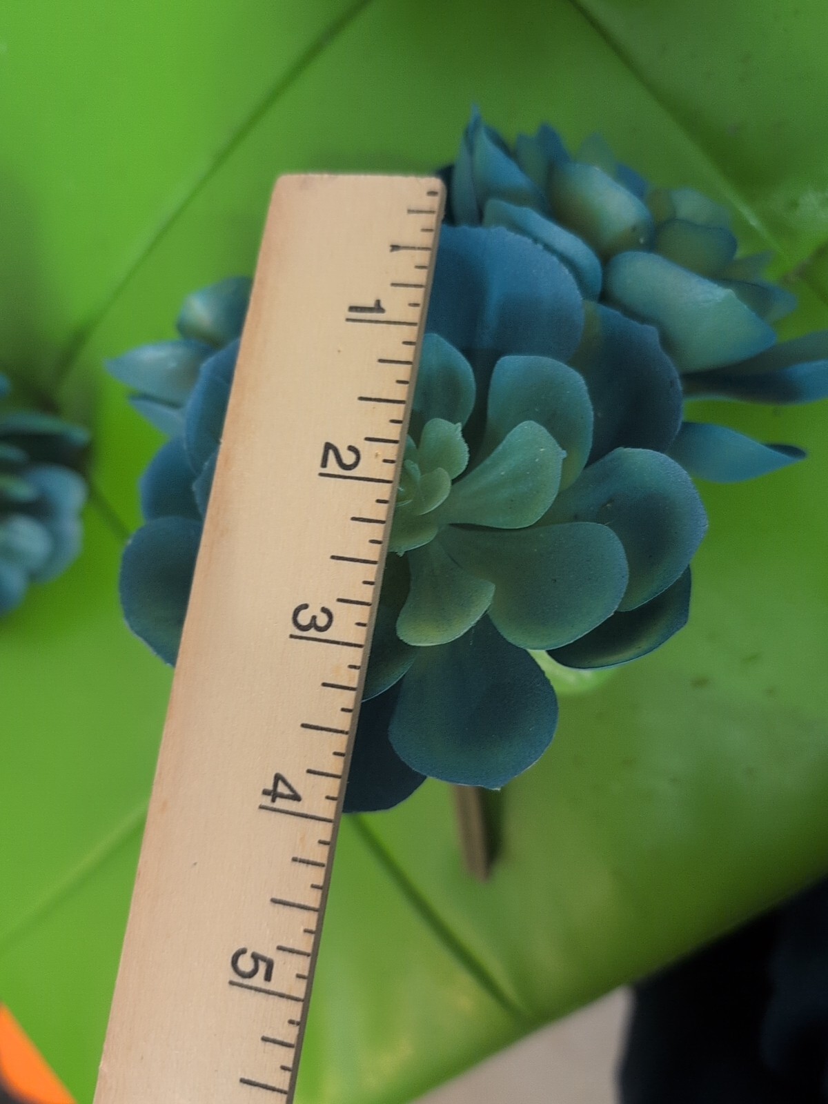 Artificial Green Blue Cluster Succulents Echeveria (3) Picks Spring