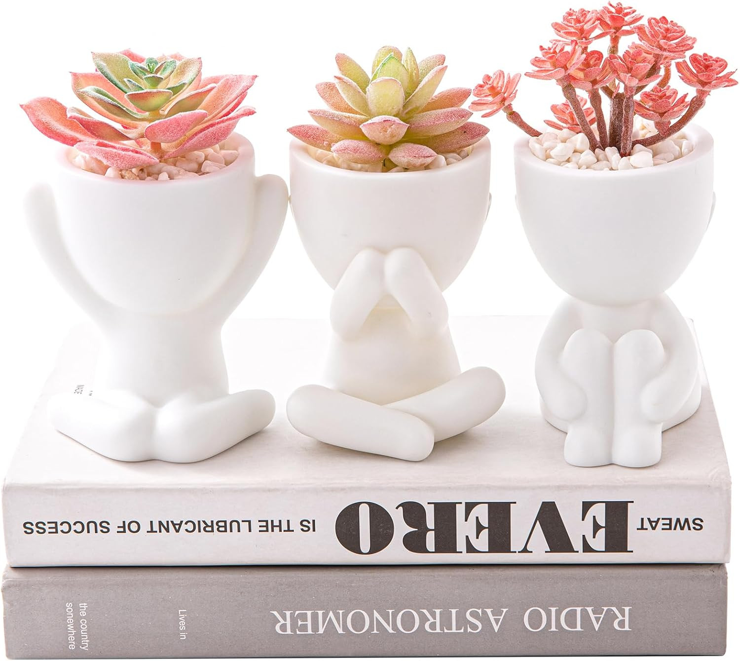 3PCS Cute Artificial Plant Office Decor