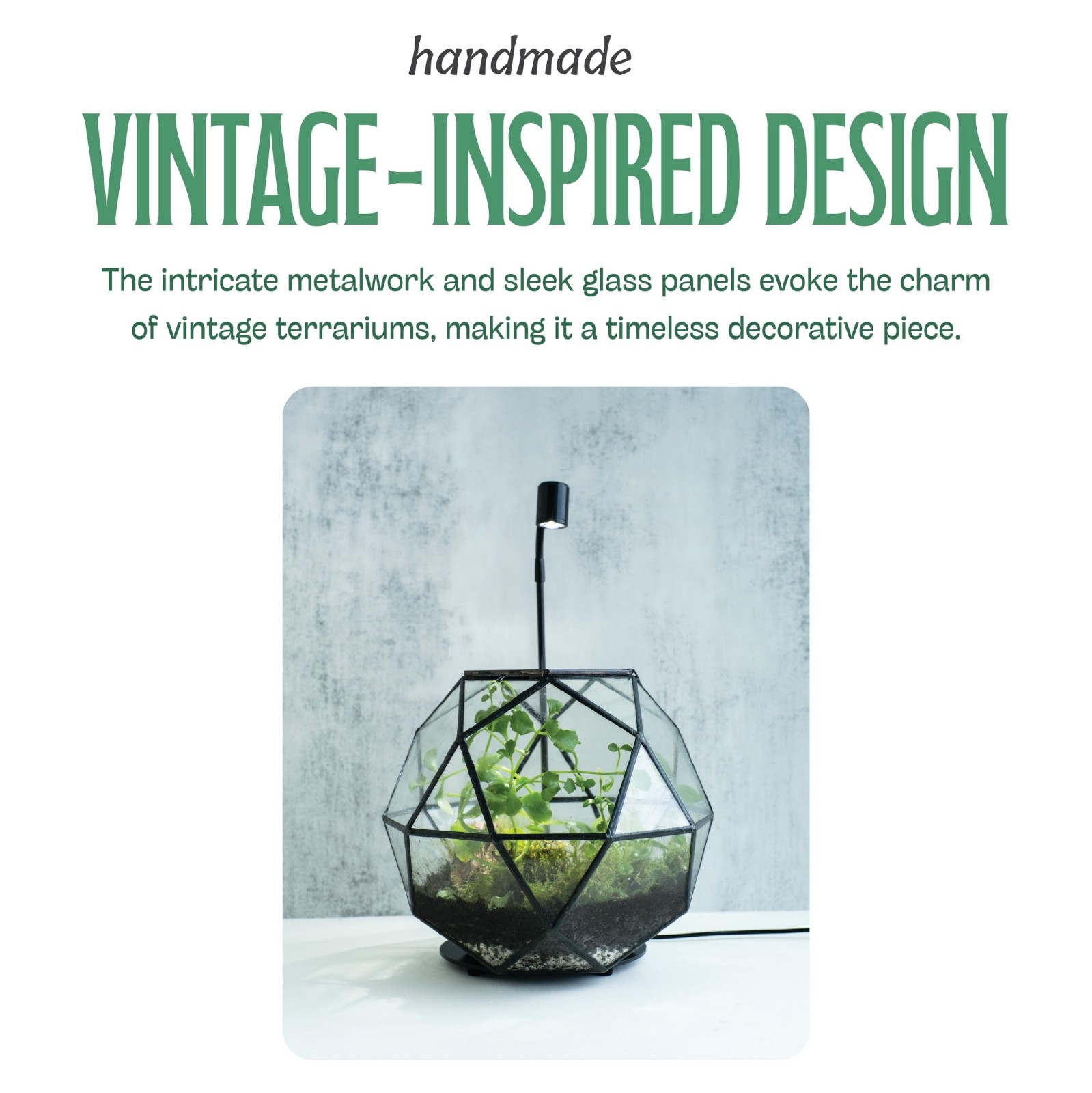 Clear Glass Terrarium with Door – Sphere Design Planter for Moss & Indoor Plants