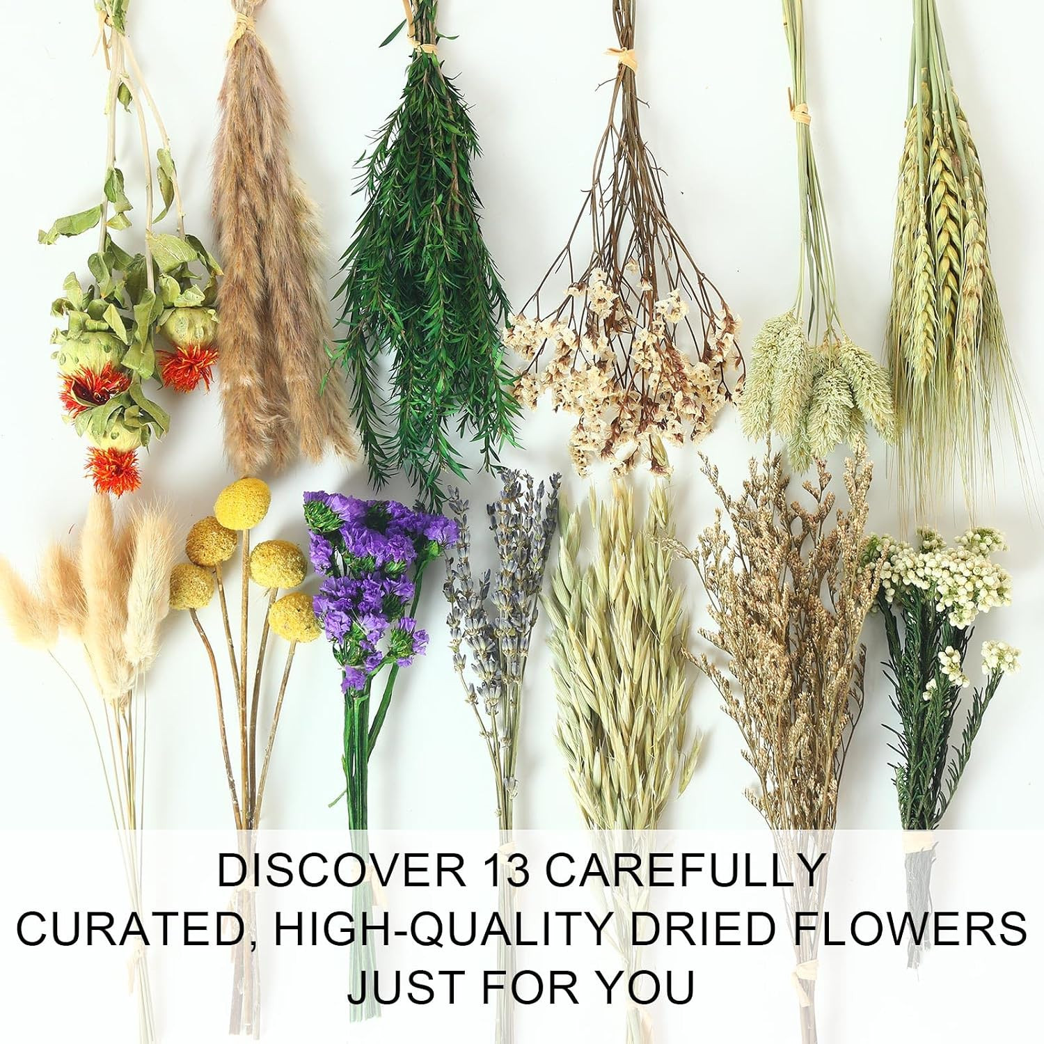 13 Kinds Mini Dried Flower Bouquet, 5-8″ Boho Brown for Crafts, Vase Filler | Na