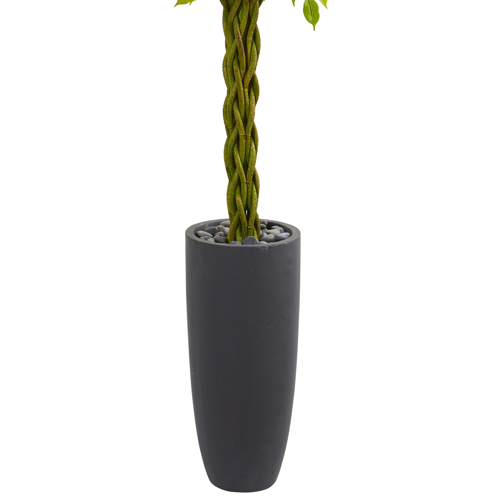Nearly Natural 6.5ft Braided Ficus Tree in Cylinder Planter UV Resistant