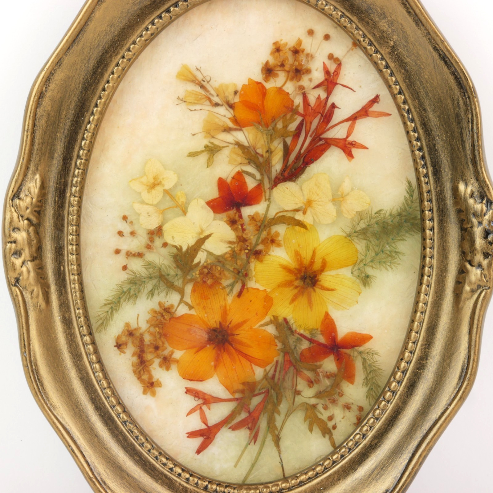 Vintage 1999 Fibretec Sri Lanka Preserved Real Tropical Flower Art Oval Frame