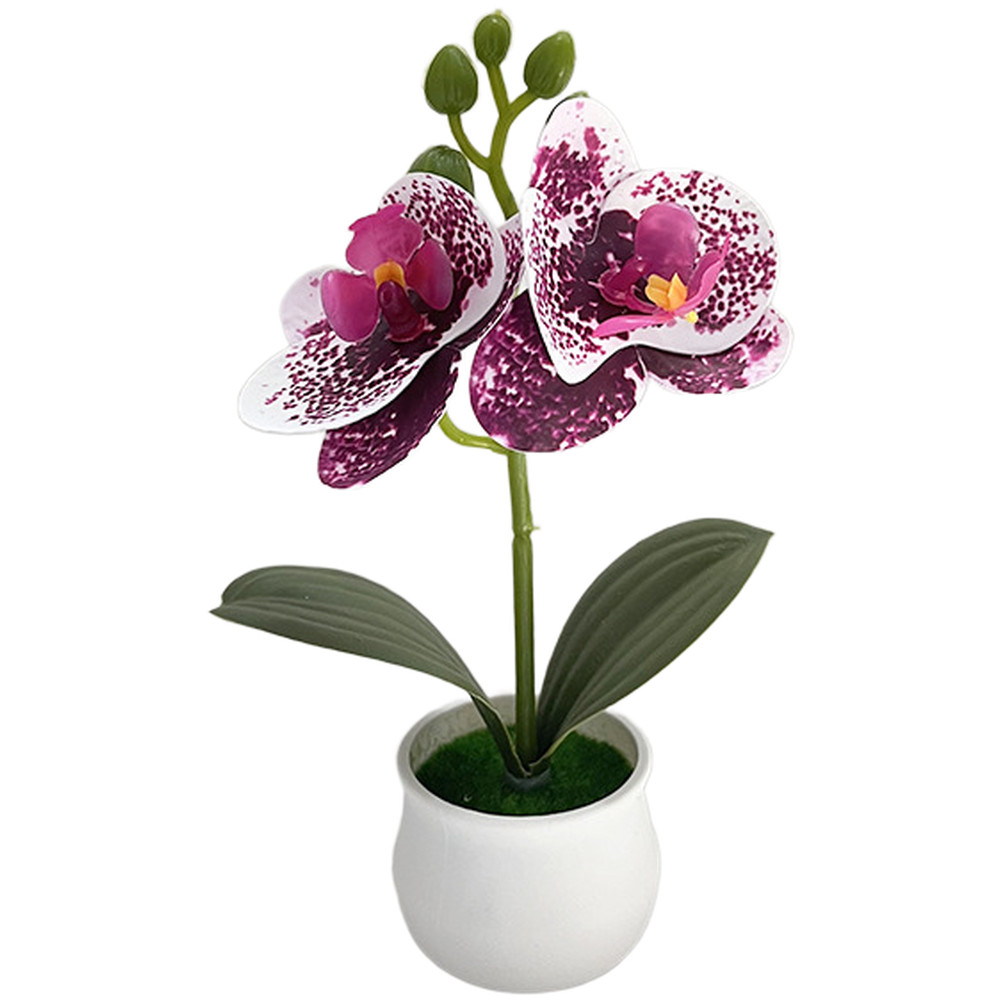 Phalaenopsis Orchid Potted Plant 11x11x18cm Plastic for For MINI Indoor Display
