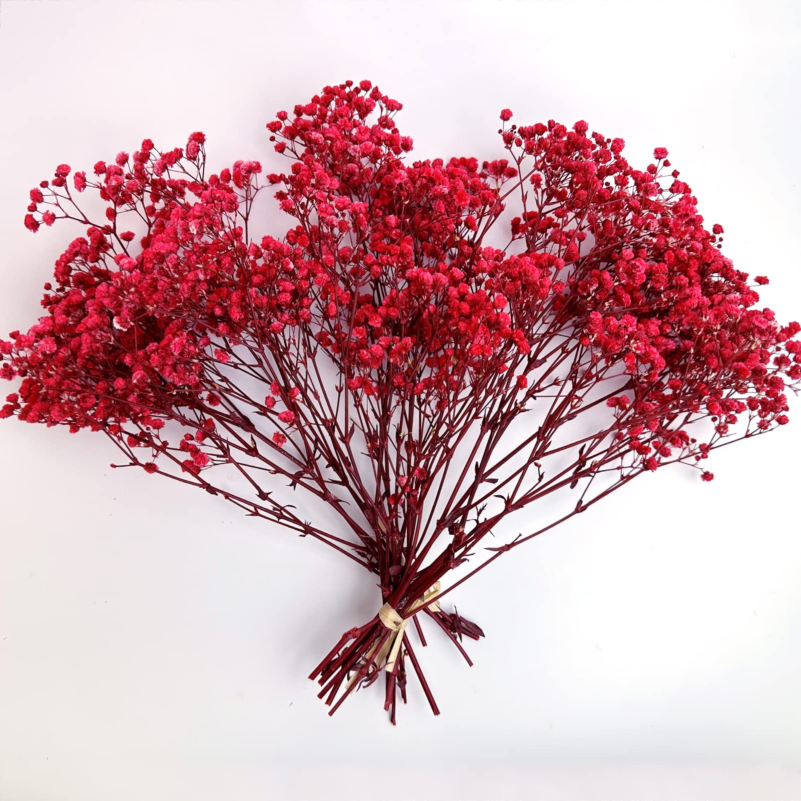 3 PCS Red Preserved Babys Breath Natural Gypsophila Long Lasting Flowers