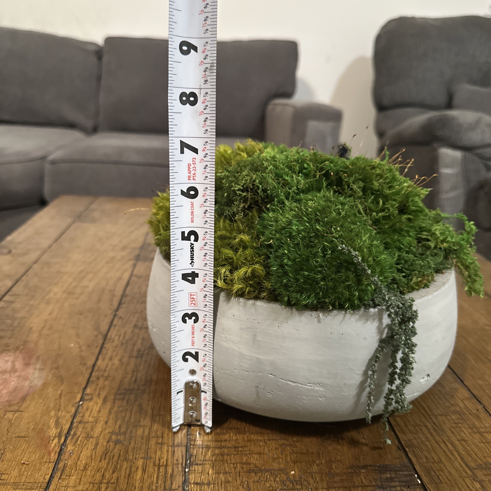 Preserved Moss Green Accent Bowl Table Design Arrangement Interior Garden Decor