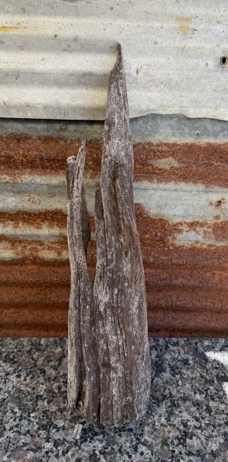 Natural DRIFTWOOD 15” Piece Terrarium Taxidermy Aquarium Art Reptile Decor