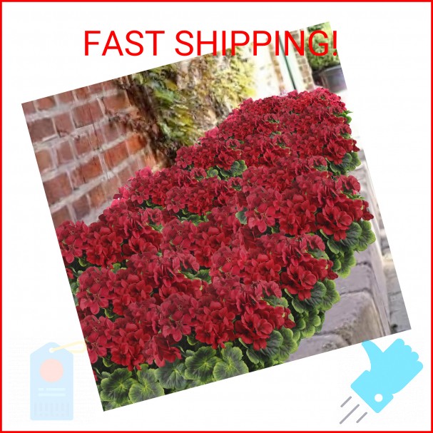 FAICOIA 2 Pcs Artificial Geraniums for Outdoor Silk Geranium Flowers Red Artific