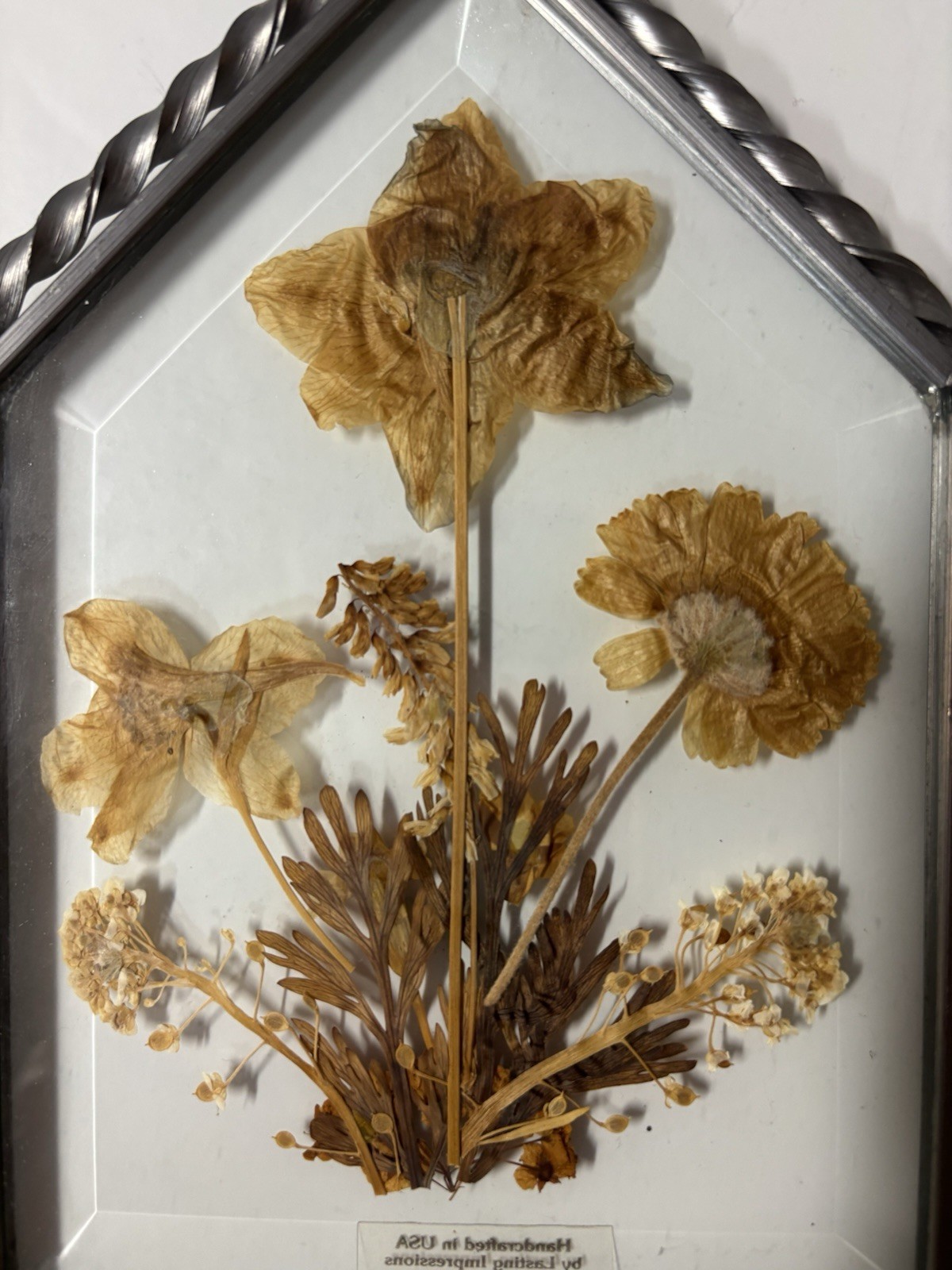 Lasting Impressions Glass Framed Pressed Dried Flowers Wall Decor 7”x5” Vintage