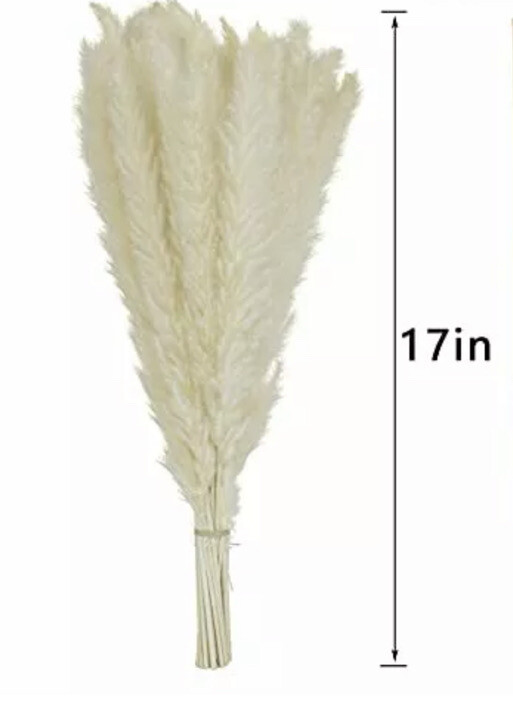 Belle Fleur Natural Dried Pampas Grass Reed Plume Dried Flower Stems Bouquet