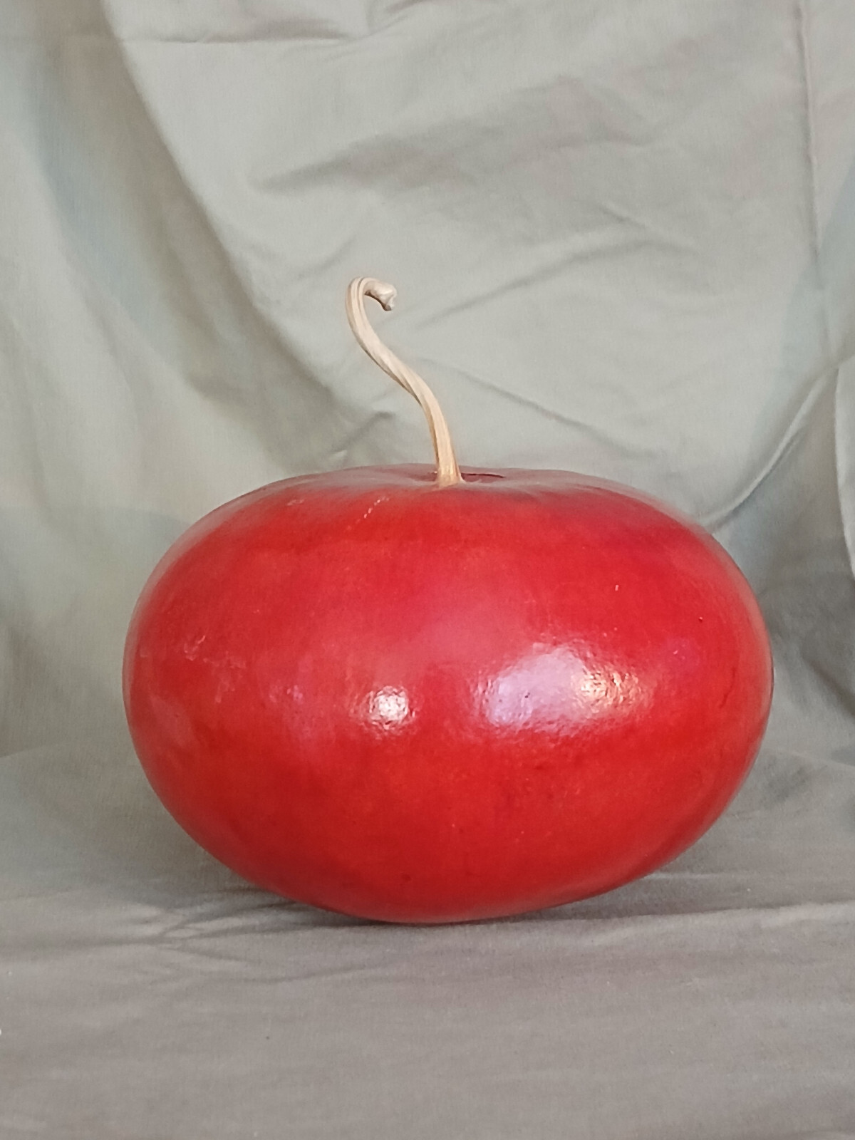 Large Apple Fall Perfect Natural Gourd Dried Decor Painted Red6 x 8 in