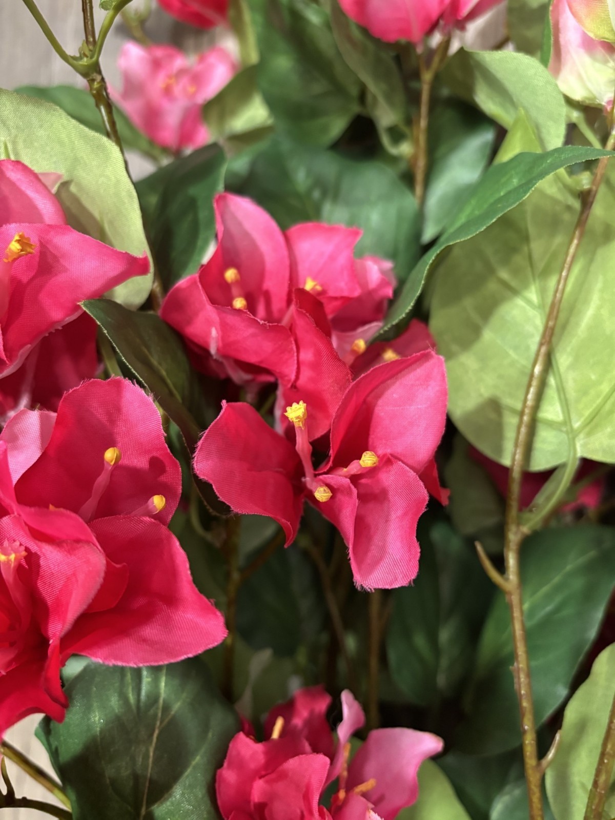 NEW POTTERY BARN Faux Pink Bougainvillea Flowers 48″ Tall Branch Stems Decor NWT