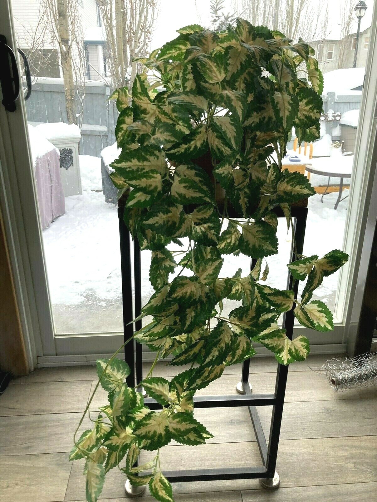 Hanging Silk Plant Natural Looking Coleus (?) Moss Terracotta Pot Tropical 36″