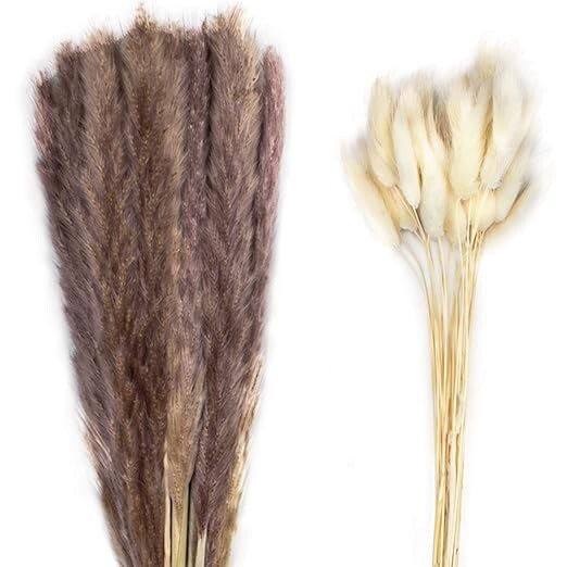 Jade Luxe dried Pampas Grass 60pcs 24″