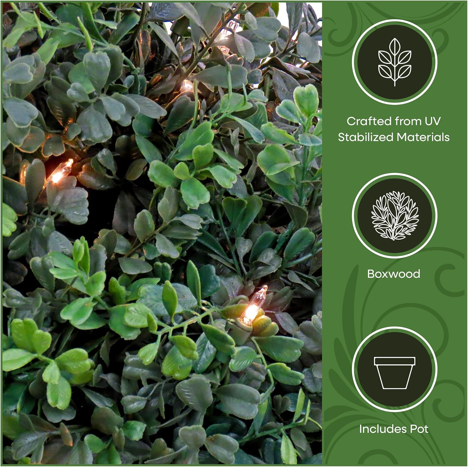 2 Ft Prelit Boxwood Topiary with 50 Clear Lights in Matte Black Pot