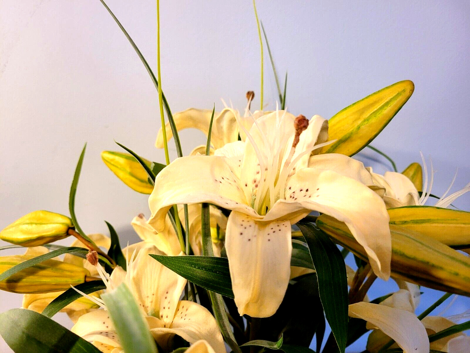 Petals Office Scapes Direct Silk Lillies Floral Arrangement In Glass Vase PSJ