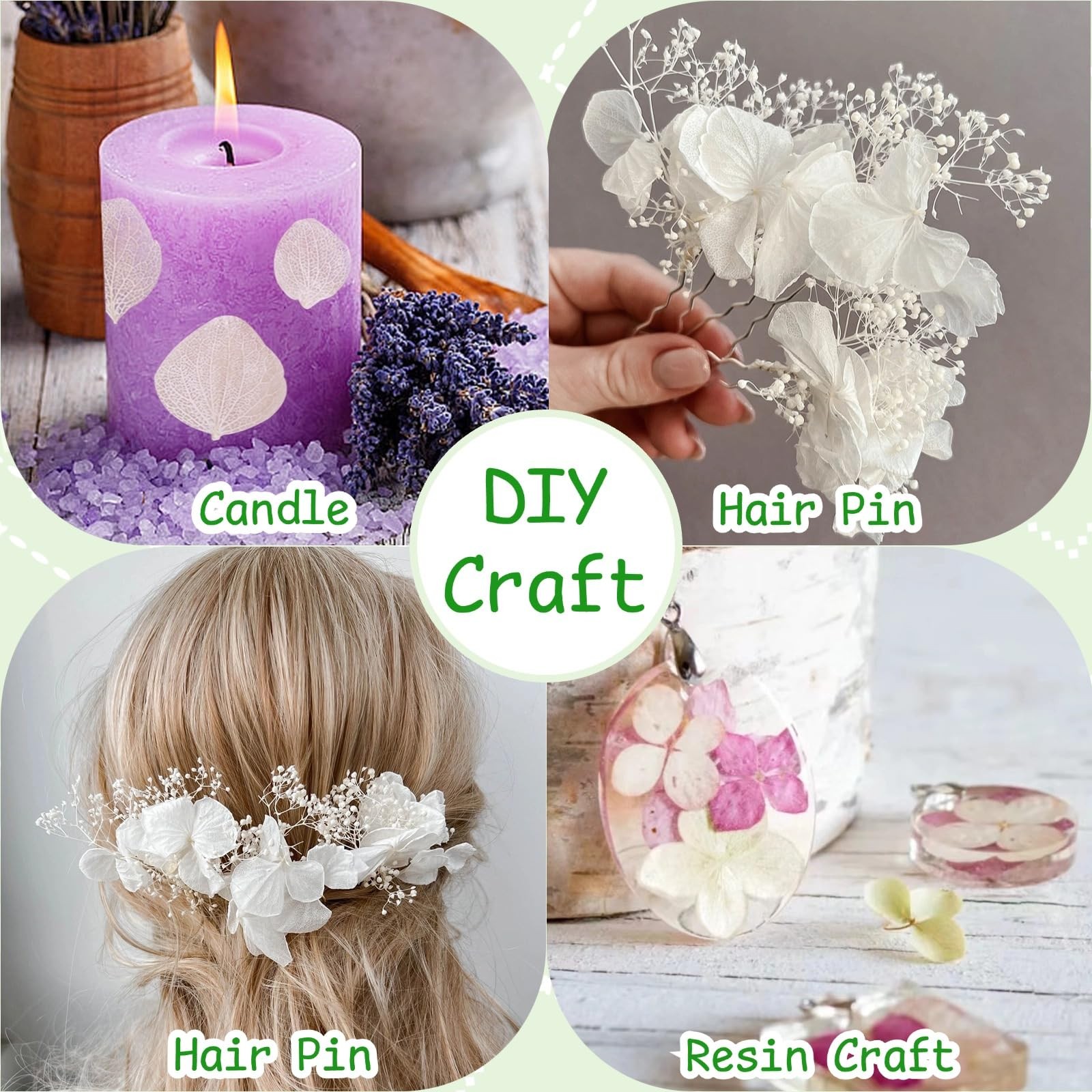 1500Pcs Real Dried Ivory White Hydrangea Flower Petals – Natural smal Petals …