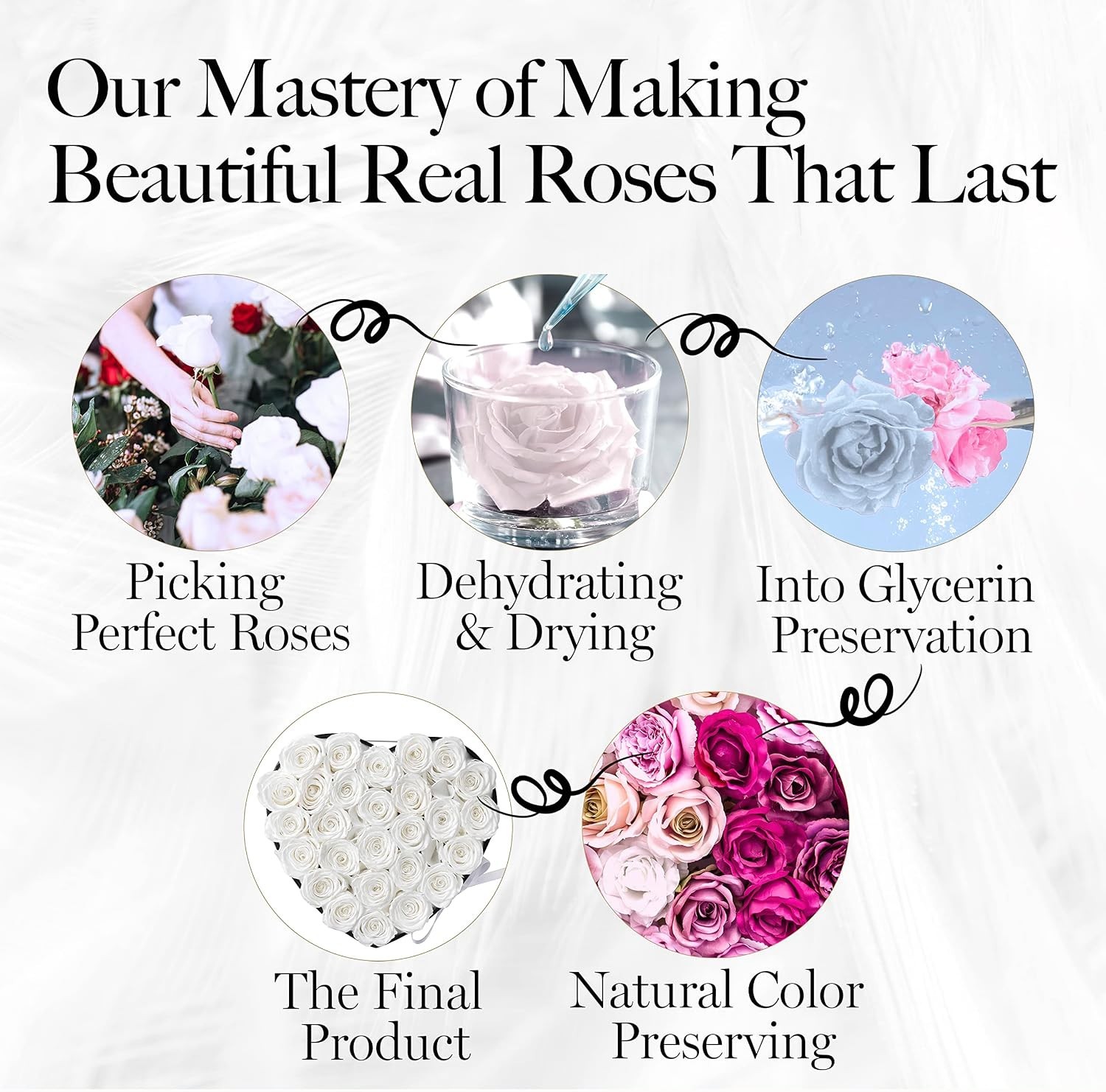 White Eternal Roses – Perfect Gift for Mother’s Day