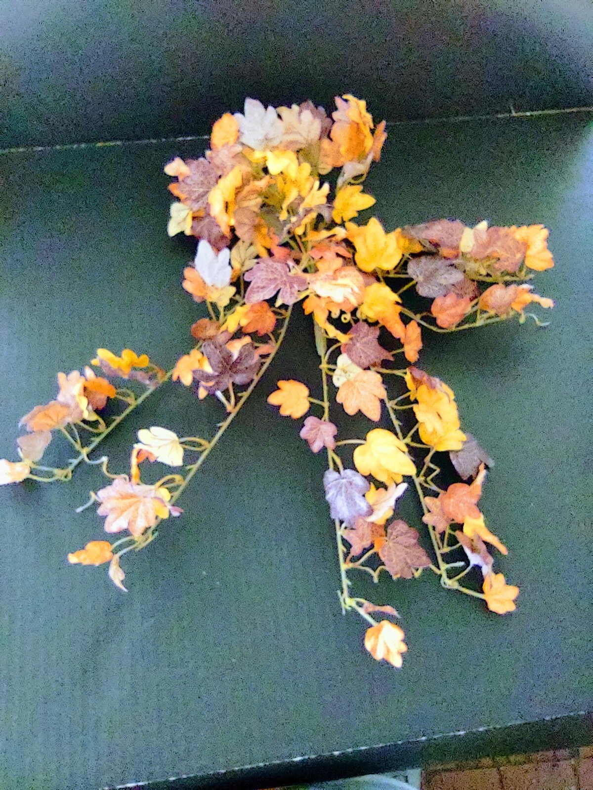 Fall mini leaf ivy vine bush. 12 BUSHES!!