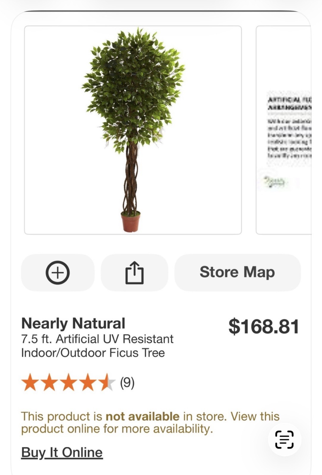 7.5Ft. Ficus Tree UV Resistant (Indoor/Outdoor)