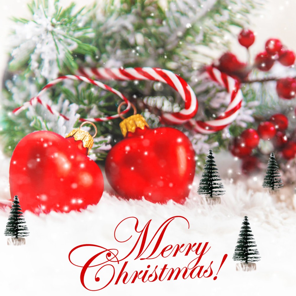 10Pcs Small Xmas Tree with Snowy Pine Design for Tabletop Christmas Party Decor