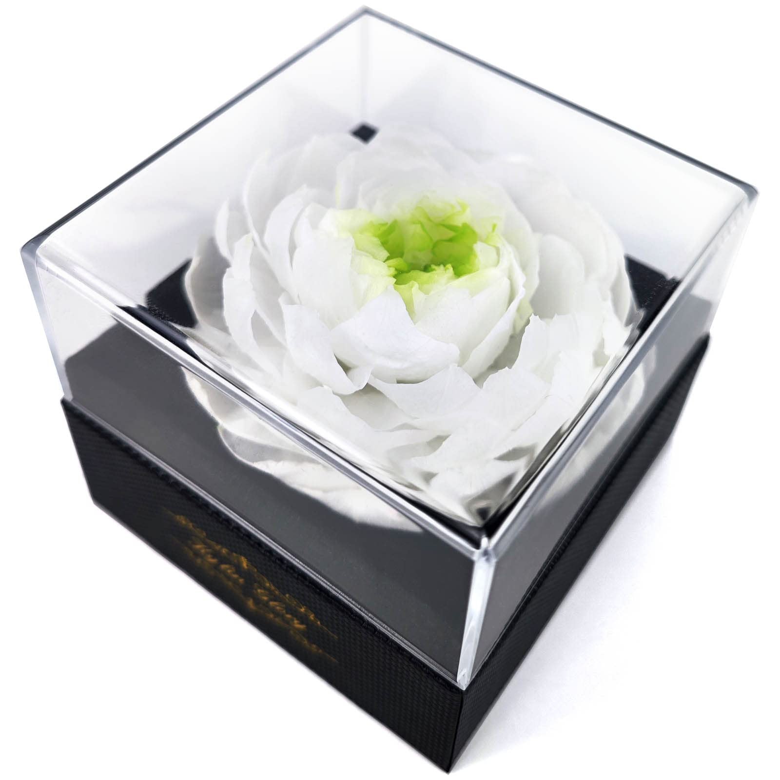 Fresh Cut Flower Preserved Peony for Women Mom Wife Girlfriend – Flower Gift …
