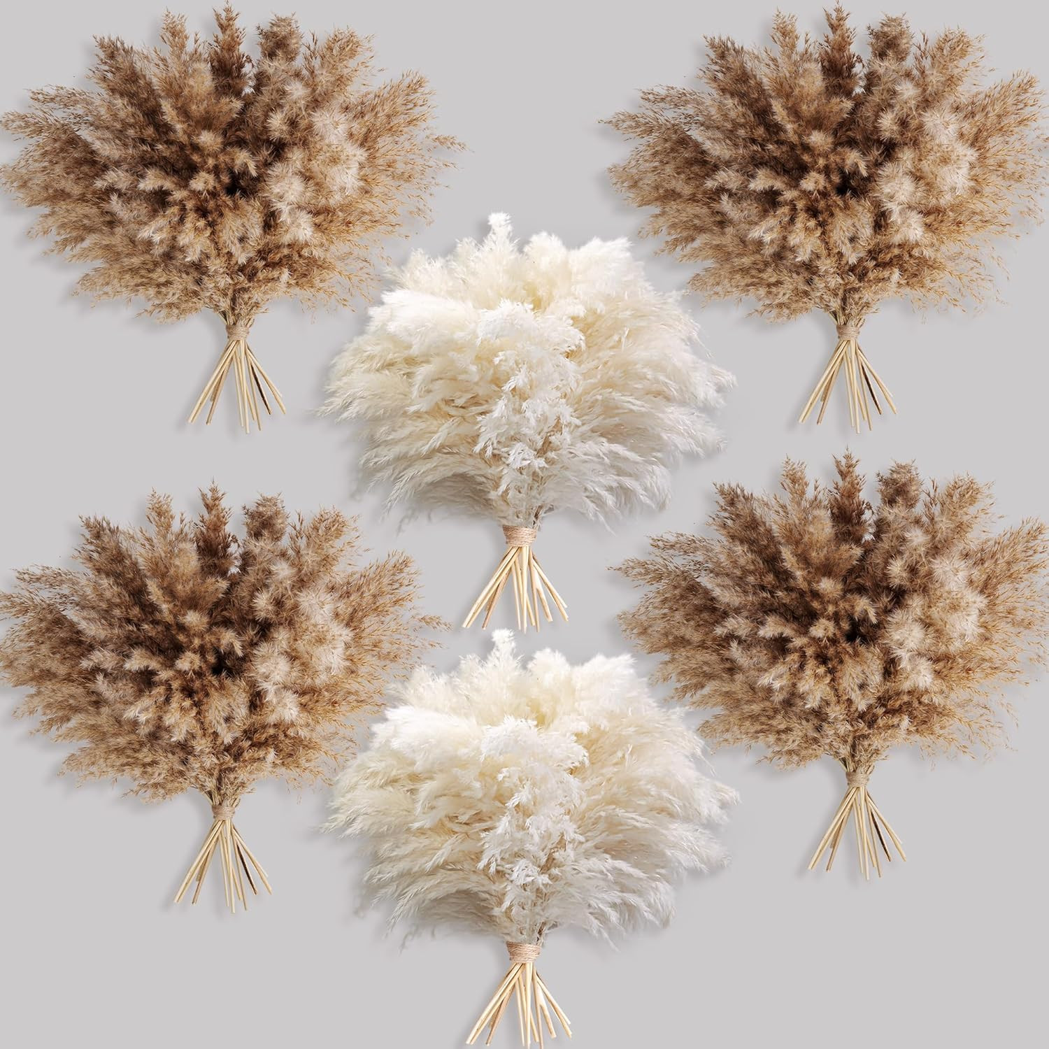 60 PCS Boho Decor, Fluffy Pompas Grass, Natural Dry Pampas Grass Small, Short Pa