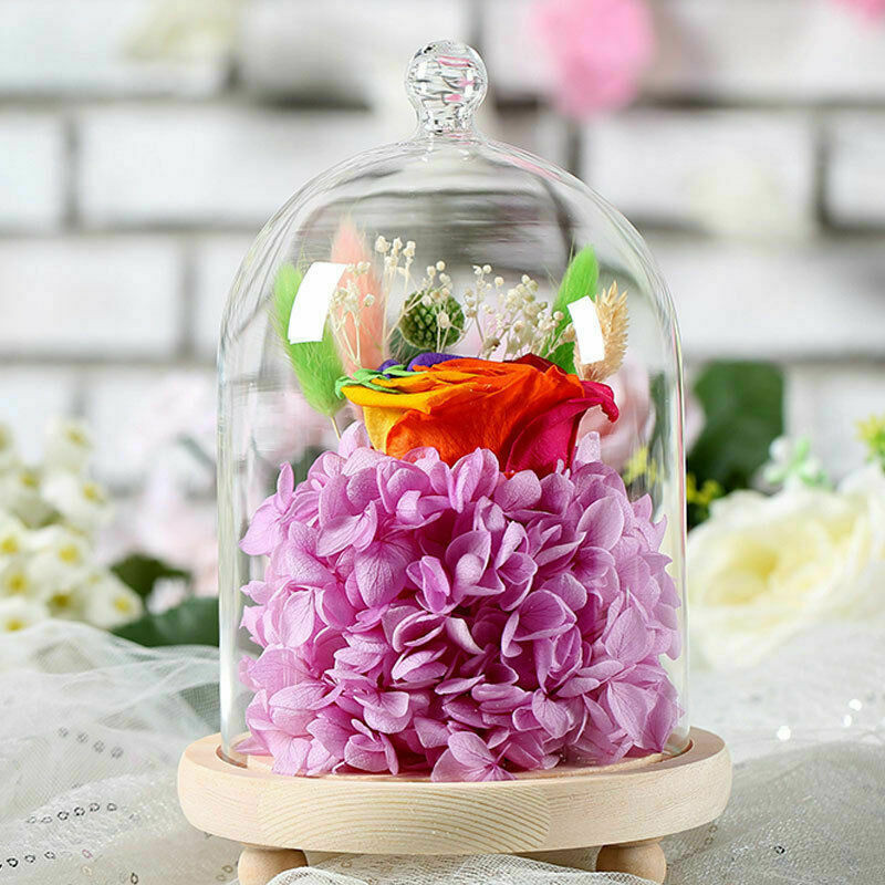 7.87″ Glass Display Bell Jar Dome Cloche Base Decorative Stand Immortal Flower