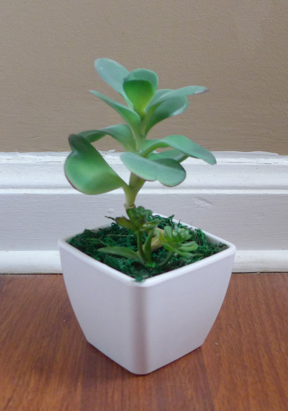 2 Mini Desert Grass Potted Artificial succulent With Pot