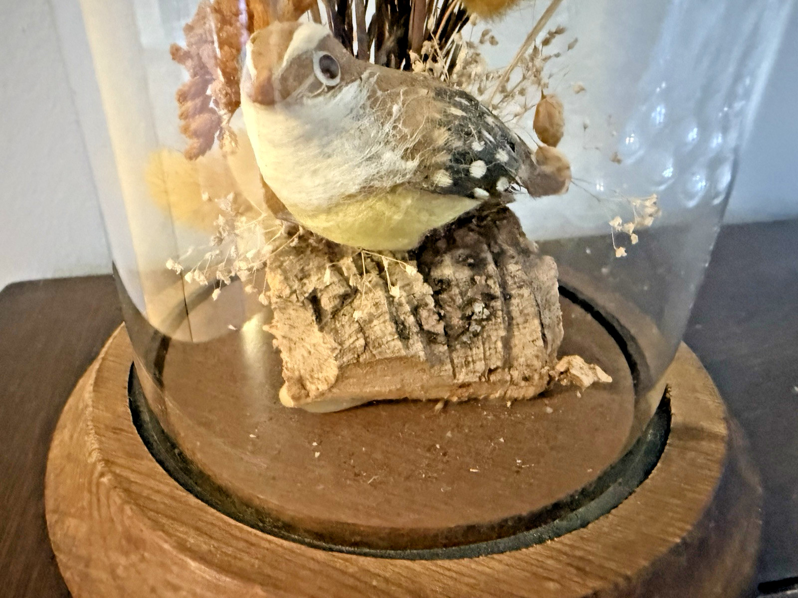 Vintage Hand Made Dried Floral & Bird Diorama / Terrarium Glass Dome Display